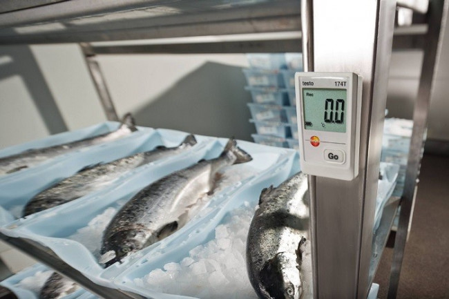 Логгер Testo 174T Логгер Testo 174T