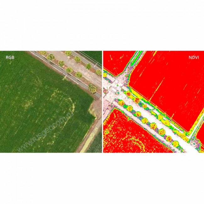 Квадрокоптер DJI Phantom 4 Multispectral + Мобильная станция D-RTK 2 High Precision GNSS Квадрокоптер DJI Phantom 4 Multispectral + Мобильная станция D-RTK 2 High Precision GNSS