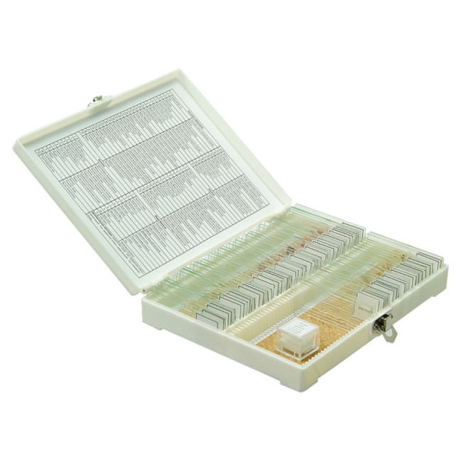 Набор микропрепаратов Микромед №80